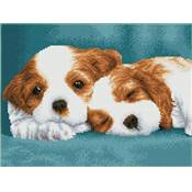 KIT BRODERIE DIAMANT SQUARES - LITTLE CHAMPS - PRE-ENCADRE