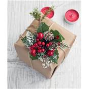 COURONNES & DECO DE NOEL NATURE - 30 PROJETS