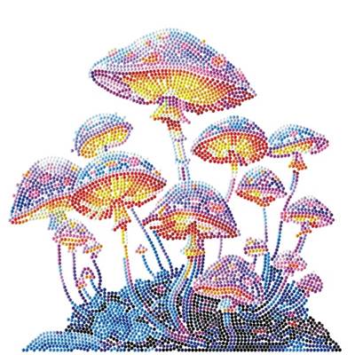 KIT BRODERIE DIAMANT DOTZ - MUSHROOM MOONLIGHT AVEC CADRE