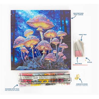 KIT BRODERIE DIAMANT DOTZ - MUSHROOM MOONLIGHT AVEC CADRE