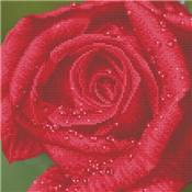 KIT BRODERIE DIAMANT - LA ROSEE SUR LA ROSE