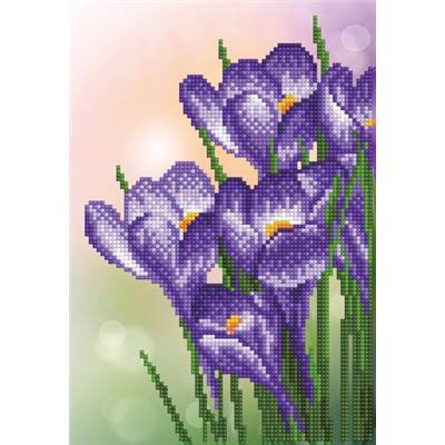 KIT BRODERIE DIAMANT - CROCUS PRINTANIER