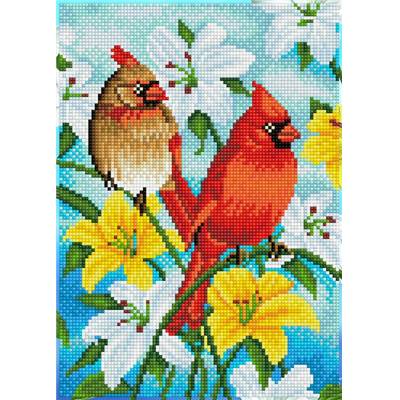 KIT BRODERIE DIAMANT - CARDINAL FAMILY