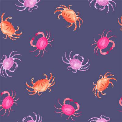 TISSU DASHWOOD STUDIO - CORAL COAST 2463 - COTON - 110 CM