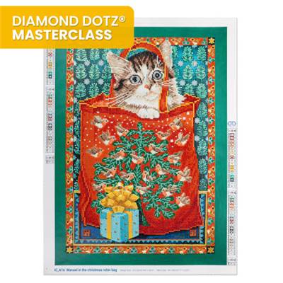 KIT BRODERIE DIAMANT DIAMOND DOTZ MASTERCLASS - SAC ROBIN DE NOEL