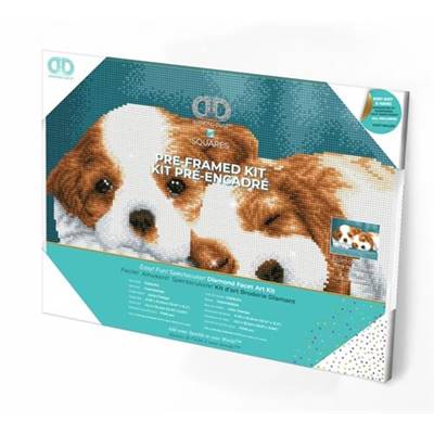 KIT BRODERIE DIAMANT SQUARES - LITTLE CHAMPS - PRE-ENCADRE