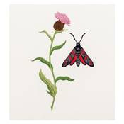 INSECTES & PLANTES EN PEINTURE A L'AIGUILLE - GUIDE DE BRODERIE